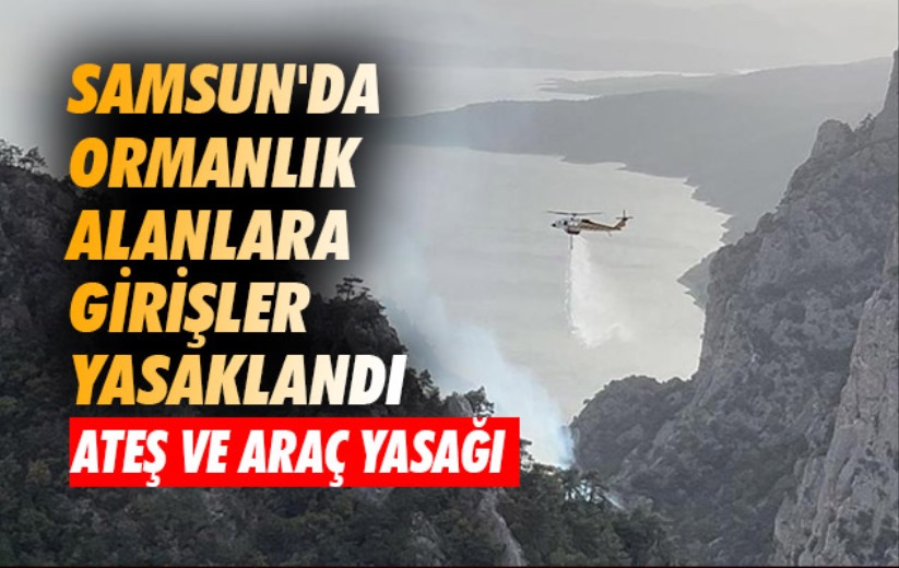 Samsun'da ormanlık alanlara girişler yasaklandı