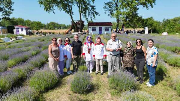 Sinop'ta lavanta kokulu gastronomi buluşması: Yöresel lezzetlere mor dokunuş