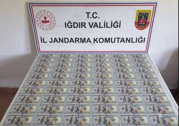 Iğdır'da 10 bin dolar değerinde sahte banknot ele geçirildi
