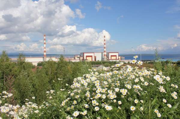 Dünya Nükleer Birliği Başkanı Komarov: 'Gelecek için nükleere başka bir pencered