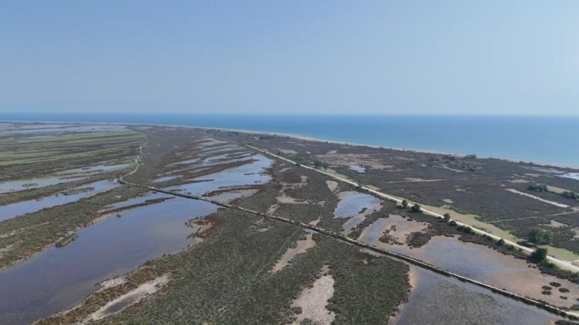 Samsun'da 'Kızılırmak Deltası Kuş Cenneti'nde 'kuraklık' tehdidi: Yok olma riski