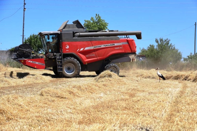 Sebzede lider, meyvede güçlü, tarımda marka şehir: Samsun