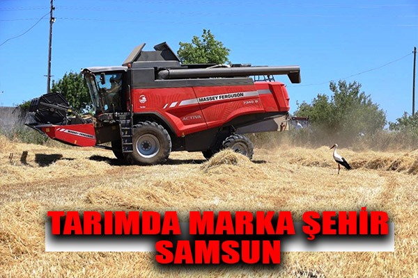 Sebzede lider, meyvede güçlü, tarımda marka şehir: Samsun