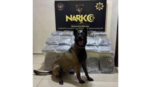 Bandırma'da gübre torbalarının altına gizlenen 11,2 kilo skunk ele geçirildi
