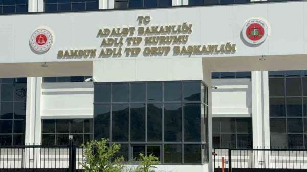 Ihlamur ağacından düşen yaşlı adam hayatını kaybetti