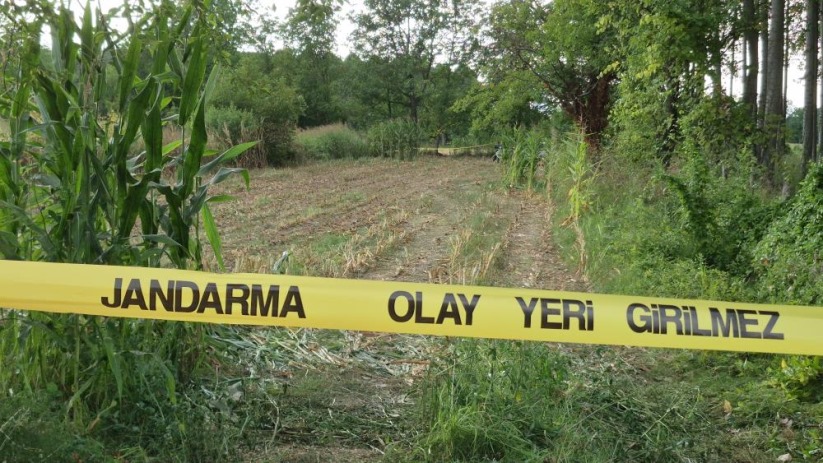 Tarlada bulunan kafatası ve kemiklerin sırrı çözüldü!