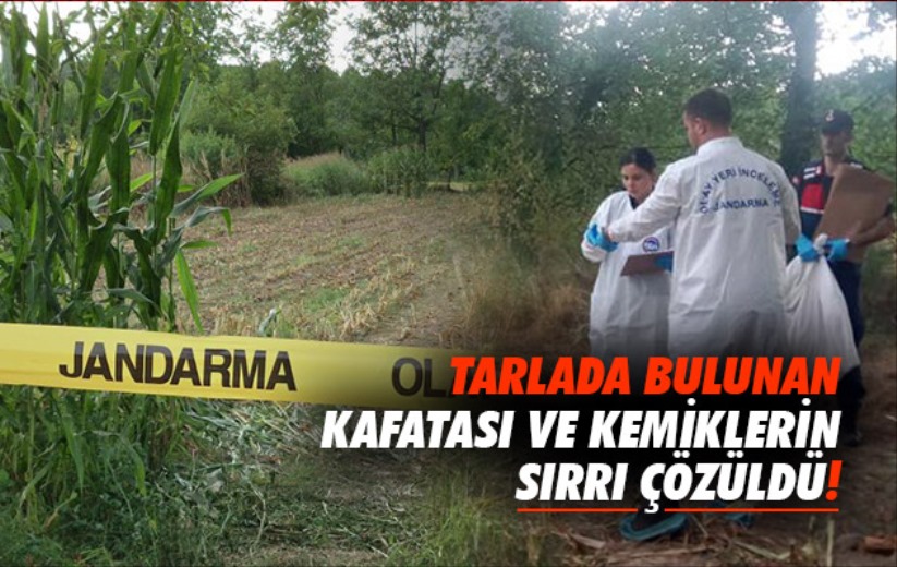 Tarlada bulunan kafatası ve kemiklerin sırrı çözüldü!