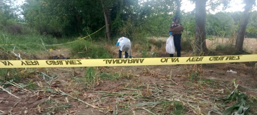 Tarlada bulunan kafatası ve kemiklerin sırrı çözüldü!