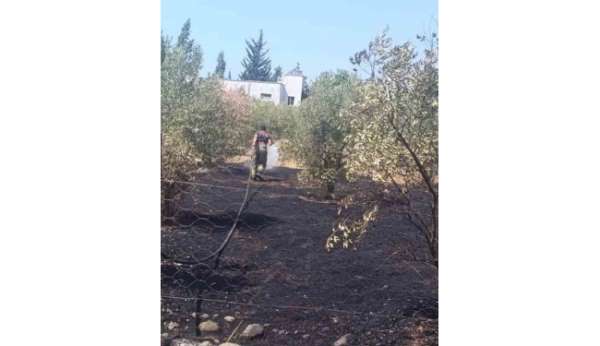 Dörtyol'da bahçe yangını kontrol altına alındı