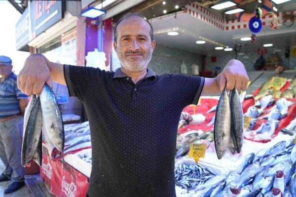 Yıllardır böylesi görülmedi: Karadeniz'den palamut fışkırıyor