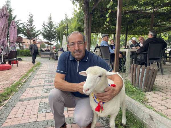 Tertip, Kavaklıların gözbebeği oldu
