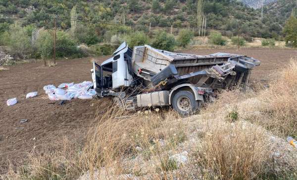 Amasya'da tahıl yüklü tır devrildi - Amasya haber
