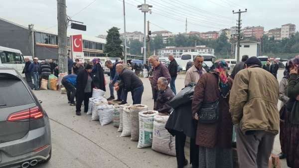 Türkiye'nin dört bir yanından 'Alaplı Kuzusu' almak için ilçeye akın ettiler - Zonguldak haber