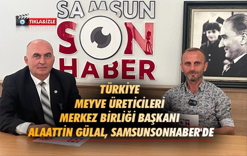 Alaattin Gülal: 'Türkiye'de tarımda üretim planlaması yapılamadı'