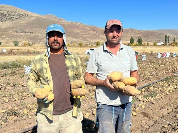 Nevşehir'de patates hasadı başladı