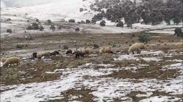 Kar yağışına yaylada yakalandı, koyunlarına türkü söyleyerek duygusal anlar yaşattı