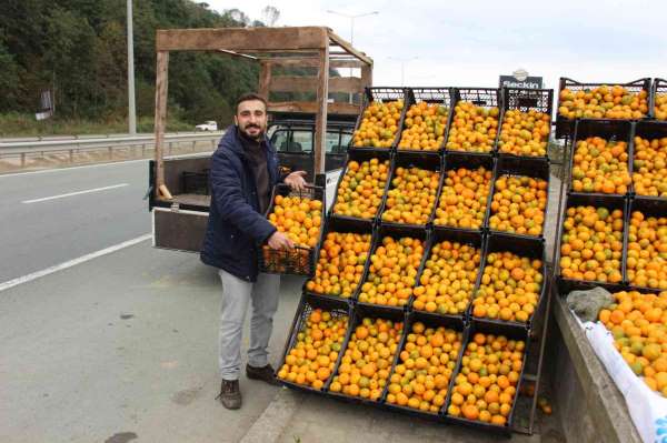 Derepazarı mandalinası tezgaha indi