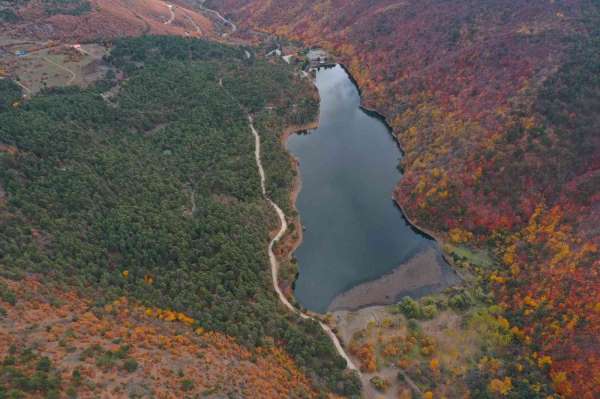 Boraboy Gölü Tabiat Parkı'nda renk cümbüşü - Amasya haber