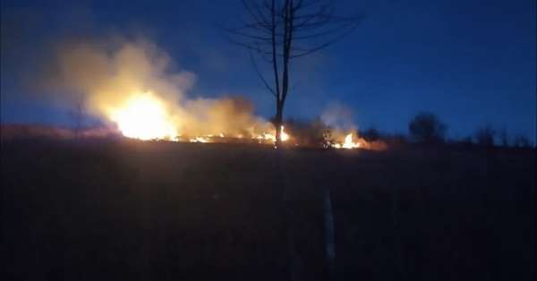 Ordu'da fındık bahçesinde yangın