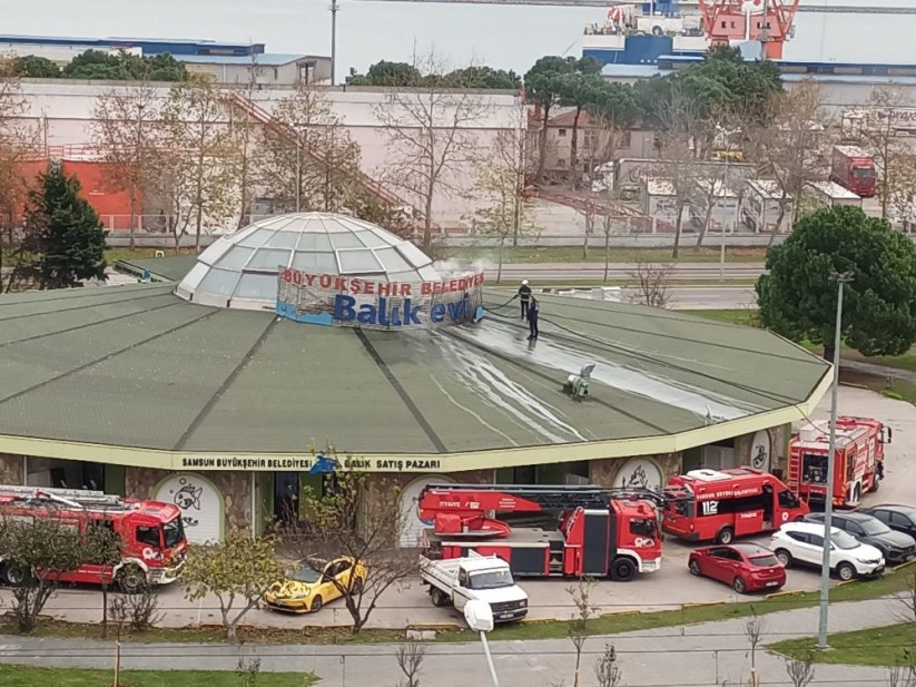 Samsun'da Balık Evi'nde korkutan yangın