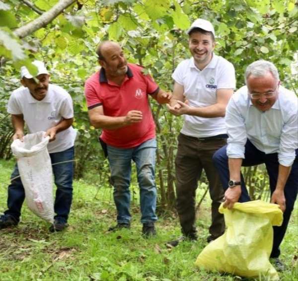 Hilmi Güler fındık bahçesinde 