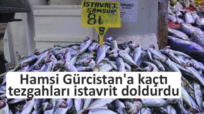 Hamsi Gürcistan'a kaçtı, tezgahları istavrit doldurdu 