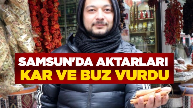 Samsun'da aktarları kar ve buz vurdu