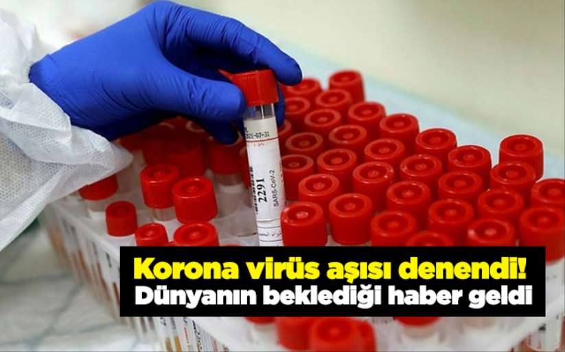 Korona virüs aşısı denendi! Dünyanın beklediği haber geldi