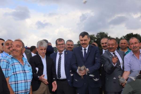 Çorum'da bin 500 keklik doğaya salındı