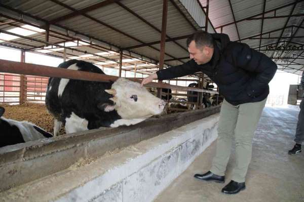 Seferihisar'da 150 üreticinin süt krizi çözüldü: Sütleri Tarım Kredi Kooperatifi satın alacak