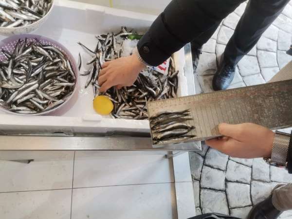 Ordu'da balık tezgahlarına soy ve mavi ışık denetimi