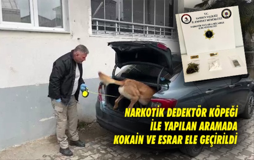 Samsun'da narkotik dedektör köpeği ile yapılan aramada kokain ve esrar ele geçirildi