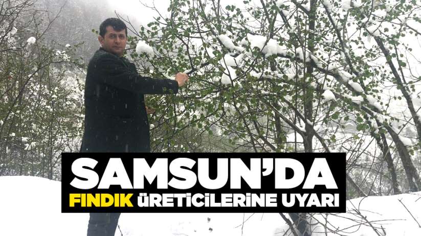 Samsun'da fındık üreticilerine uyarı