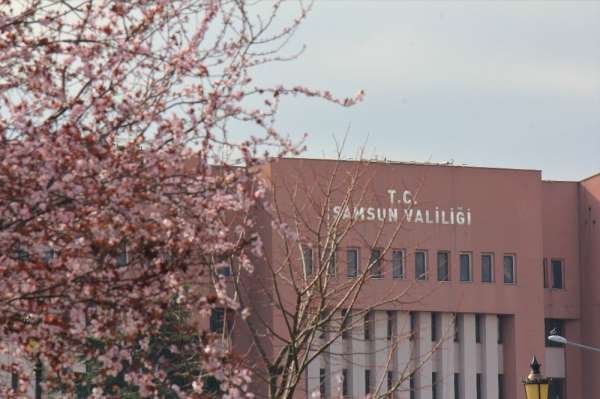 Samsun'da ilkbahar: Tabiat şenlendi