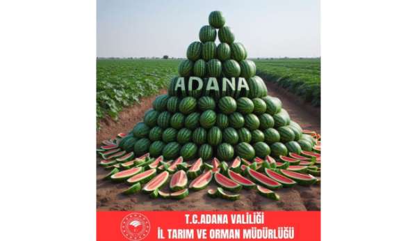 Adana karpuz üretiminde Türkiye'de birincisi oldu