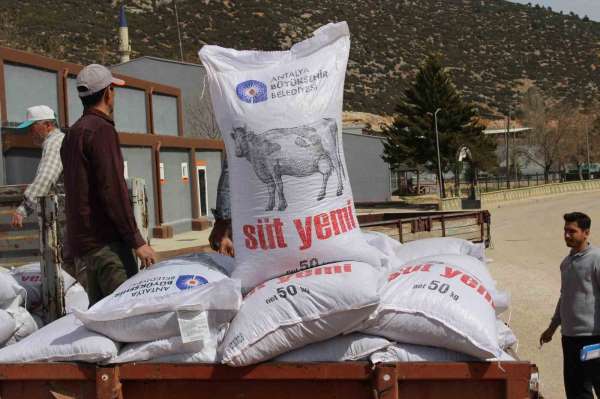Büyükşehir'in üreticilere yem desteği sürüyor