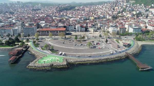 Altınordu'da Ayışığı otoparkı ağaçlandırılıyor 