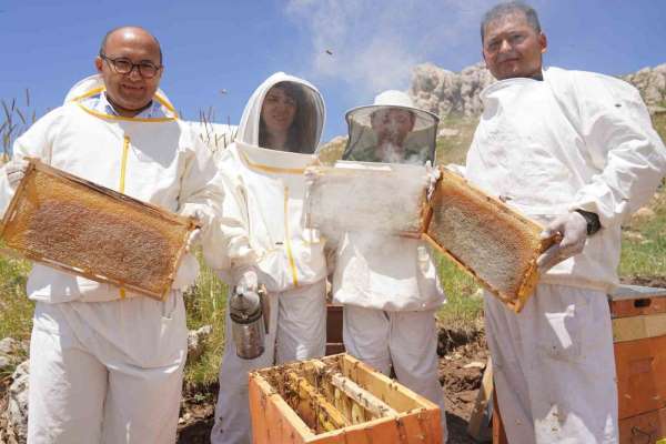 Erzincan'da 100 bin üzeri kolonide 1 milyon kilogram bal üretiliyor