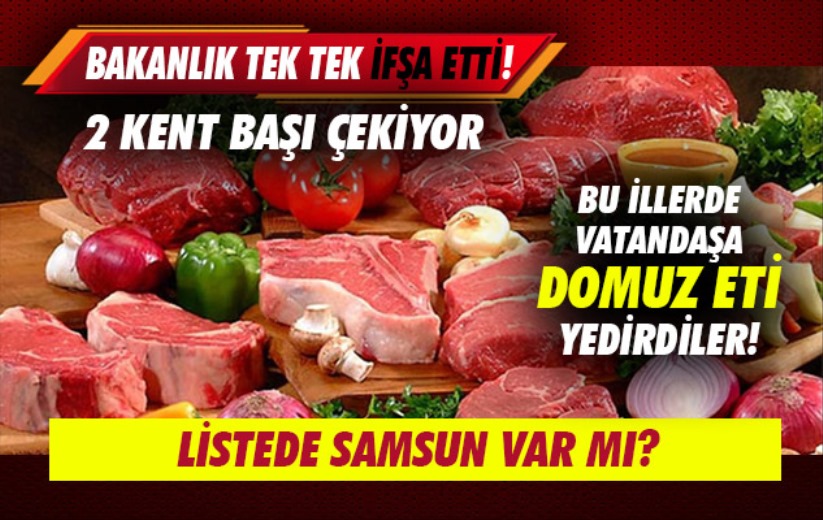 Bakanlık, vatandaşa domuz eti yedirilen illeri ifşa etti!