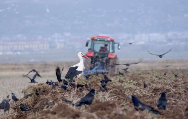 Erzurum'da traktör ve motosiklet sayısında artış var