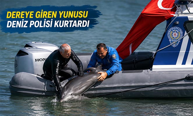 Dereye giren yunusu deniz polisi kurtardı