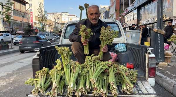 Sınırdan getirilen uçkunlar Yüksekova'da satışa sunuldu