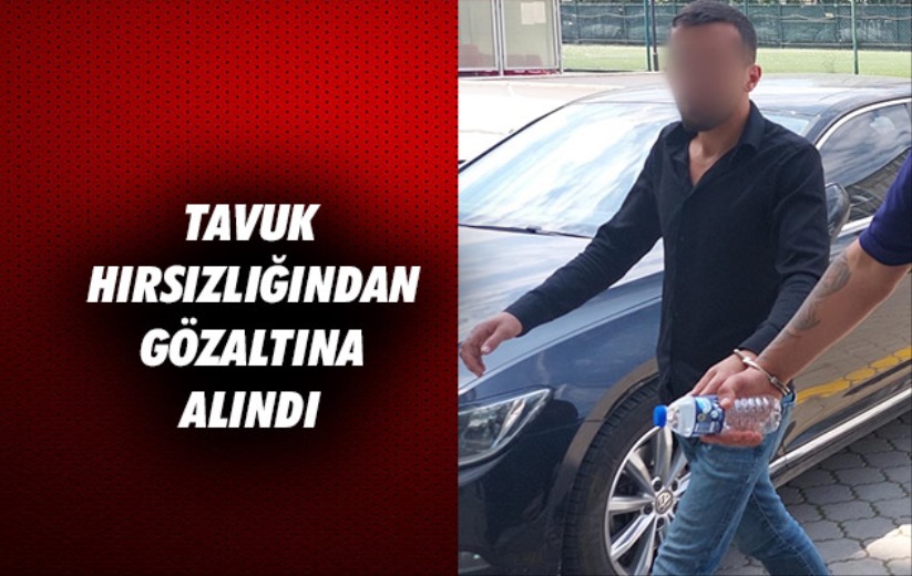 Samsun'da tavuk hırsızlığından gözaltına alındı