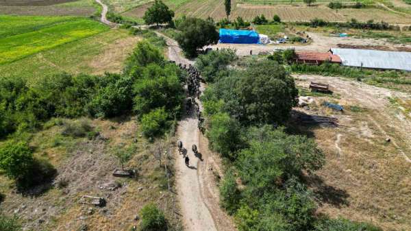 Afrika değil Tokat: Tokat'ta Afrika belgesellerini andıran görüntüler