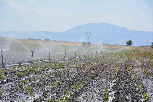 Denizli'de tarımsal sulama ile ülke ekonomisine 10 milyar TL katkı sağlanacak