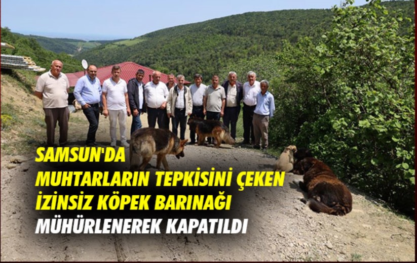 Samsun'da muhtarların tepkisini çeken izinsiz köpek barınağı mühürlenerek kapatıldı