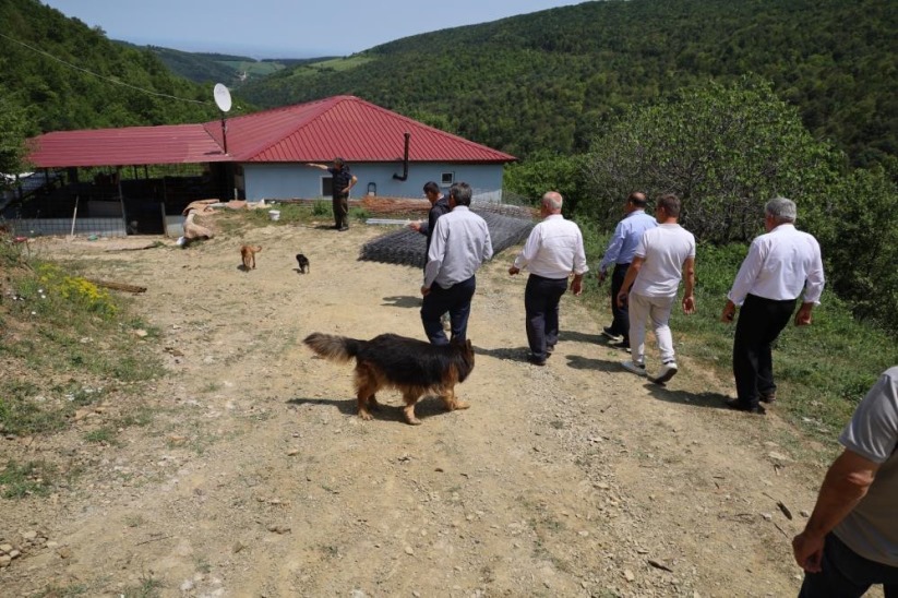 Samsun'da muhtarların tepkisini çeken izinsiz köpek barınağı mühürlenerek kapatıldı