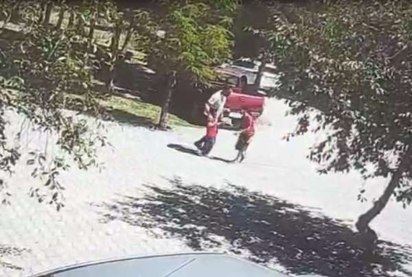 Ahlat'ta başıboş köpeklerin saldırısına uğrayan çocuk son anda kurtarıldı