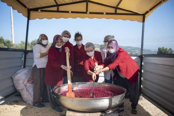 Mersin'in çileği ve vişnesi, kadınların elinde ekonomiye dönüşüyor 