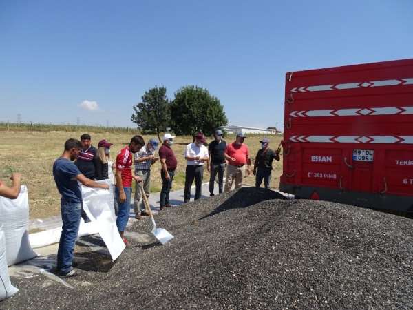 Tekirdağ, ülkenin yüzde 18'lik Ayçiçeği ihtiyacını tek başına karşılıyor